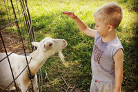 Goat Milk Lotion of the Month