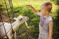 Goat Milk Lotion of the Month