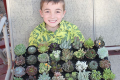 cratejoy succulent Succulents of the Month