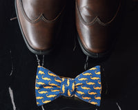 ZZ RT 1223 Nutty Neckware Tie Box