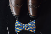 ZZ RT 1223 Nutty Neckware Tie Box