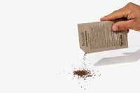 A hand holds a brown paper packet that says "broccoli, green sprouting". The corner has been cut and broccoli seeds are pouring out.