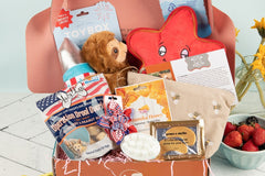 Ultimate Dog Mom Relaxation Box