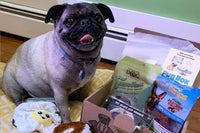 Pug Box