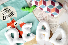 Baby Milestone Box