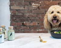 Wild&Seed Nutritional Supplements for your dog