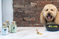 Wild&Seed Nutritional Supplements for your dog