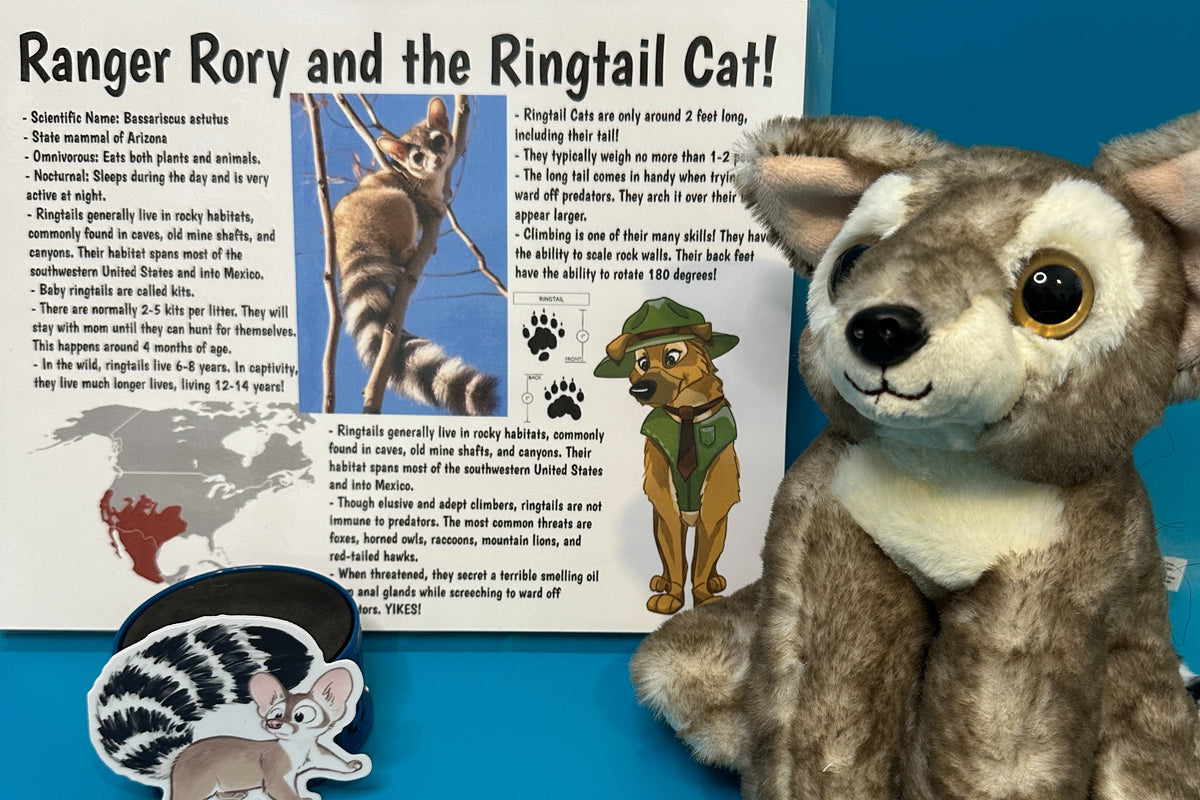 Rory the Creature Teacher's Wildlife Education Subscription