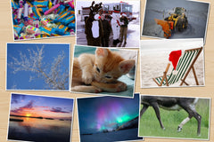 Every letter comes with a photo of what is happening in the North Pole, from the new kitten to the beach, to the Dasher's twisted ankle.