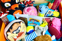 PupPup Surprise! Big Dog Box Subscription