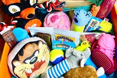 PupPup Surprise! Big Dog Box Subscription