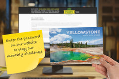 Search the park virtually and solve our challenge to be entered into a drawing for free merchandise. 