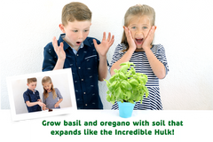 iSprowt - Hands-On, Fun, Engaging STEM Kits