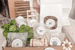 Hamster & Me Box