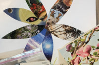 Bible Art Journaling in Genesis with Us! $25 a month.