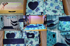 Standard Monthly Box  - 5 Matched Items  - Rats, Hedgehogs, Guinea pigs, Chinchillas, Sugar Gliders, and MORE!!