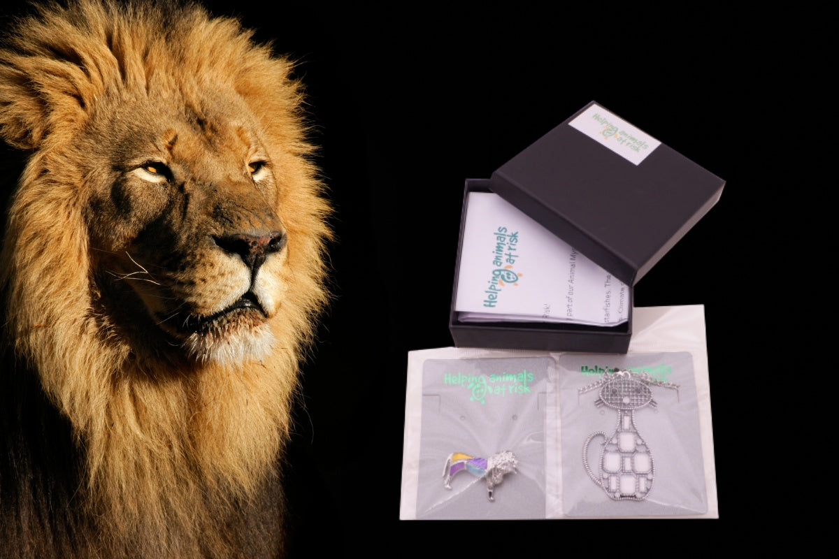 Helping Animals At Risk Animal Jewelry Mystery Box