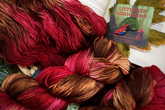 Monthly Hand-dyed Yarn Box - pattern & stitch markers included from Wonderland Yarns