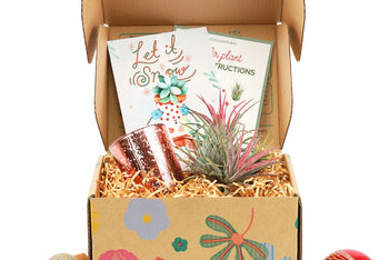 air plant subscription box, live plants subscription, subscription boxes, monthly subscription boxes, subscription boxes for women