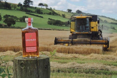 Scotch Whisky Subscription - The Single Cask Club