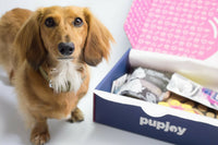 Monthly PupJoy Power Chewers Box, Treats & Toys, All Natural