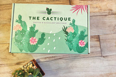 The Cactique Boutique Box