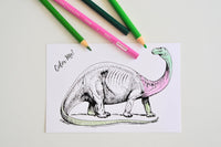 Adult Coloring Monthly