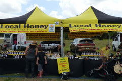 3-Pack Real Honey