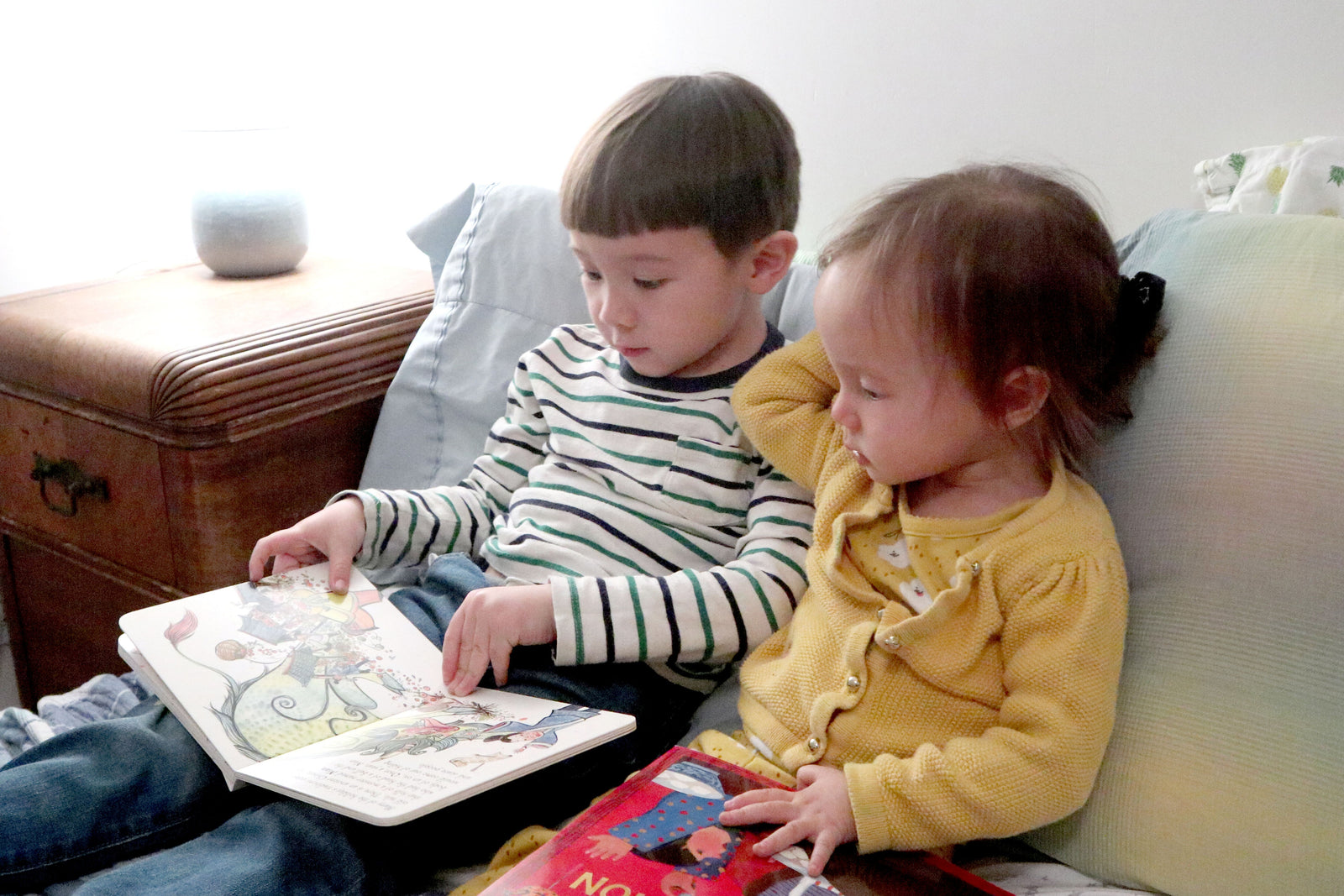 The Little Shu Box - Sibling