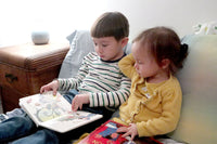 The Little Shu Box - Sibling