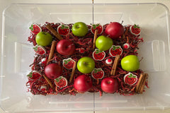 Monthly Sensory Box Filler