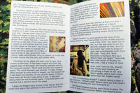 The inside of a book with text and three pictures. The pictures are of peeling wallpaper, fresh-cut wood, and a woman's back in a kitchen. 
