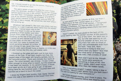 The inside of a book with text and three pictures. The pictures are of peeling wallpaper, fresh-cut wood, and a woman's back in a kitchen. 