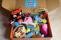 PupPup Surprise! Big Dog Box Subscription
