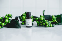 Collectors Club . 100% Pure Essential Oils . Set of 6 . Curated Each Month