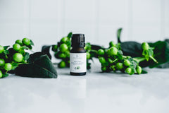 Collectors Club . 100% Pure Essential Oils . Set of 6 . Curated Each Month