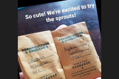 Seed Samplers