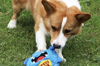 My Corgi and Me Box
