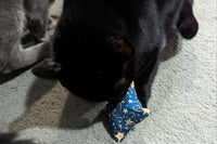4 Catnip Cat Pillows Delivered to Your Door Every Month
