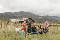 Wine for Period Equity - Seasonal (Every Three Months) Curated Bottles of Wine - 6 or 12 Bottles