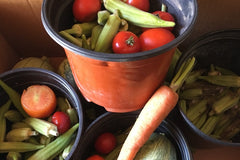Garden harvest, including squash, okra, tomatoes, peppers, and a carrot, home garden, Austin Texas, photo credit to Stephanie Facey