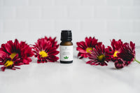 Collectors Club . 100% Pure Essential Oils . Set of 6 . Curated Each Month