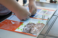 Learn about animals every month! Add pages to your binder and stickers to your map — a fun way to explore the wild.