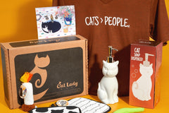 Crazy CatLadyBox!!