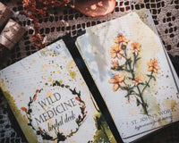 Tamed Wild Seasonal Box