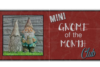 MINI Gnome of the Month Club