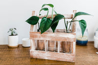 Adults & Crafts Monthly Craft Subscription Box - One of our Past Boxes - Weathered Wood Caddy DIY Craft Kit
