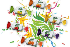 Lusiteca started In 1968 when three Portuguese entrepreneurs founded a food packaging industry. In 1973, they the launch fruit caramels