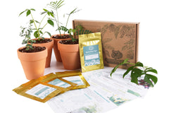 Monthly Tropical Houseplant Seed Subscription Box.