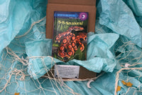Young Adult Books - 1 Pack